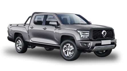 Great Wall Poer Kingkong Серый